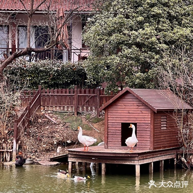 南京藏在中山陵里的绝美中餐厅！爸妈都很爱[爱心]