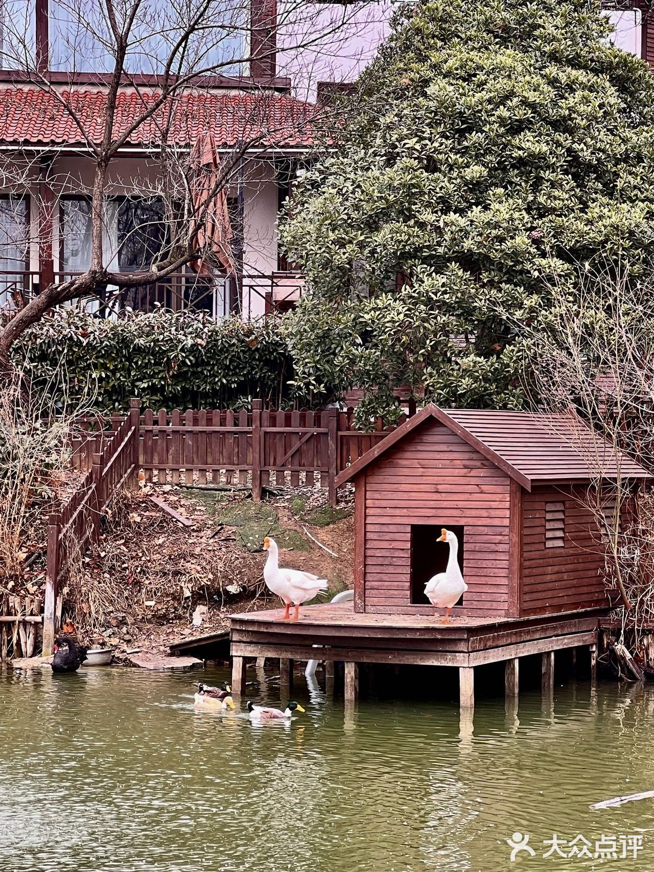 南京藏在中山陵里的绝美中餐厅！爸妈都很爱[爱心]