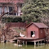 南京藏在中山陵里的绝美中餐厅！爸妈都很爱[爱心]