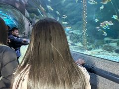 -大连圣亚海洋世界