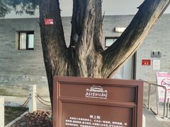 -北京市劳动人民文化宫(太庙)