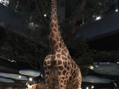 -扬州科技馆