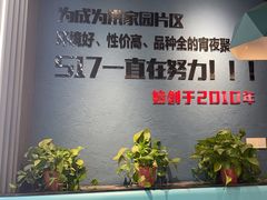 -517烧烤·龙虾·海鲜大排档(万象都荟店)