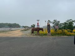 -东海森林温泉度假酒店