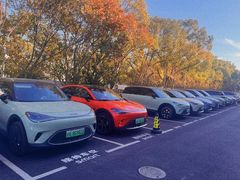 -上海浦东smart汽车全功能店(金桥店)