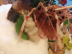 -王鼎精致料理铁板烧(世博源店)