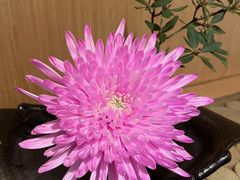 -西村日本料理(香格里拉饭店)