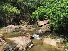 -广州白江湖森林公园