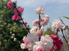 -福州大学(旗山校区)