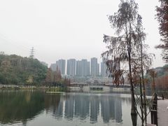 -重庆彩云湖湿地公园