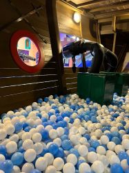 -幻贝家儿童乐园(苏州中心店)