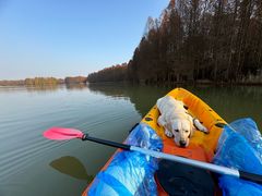 -上海海湾国家森林公园