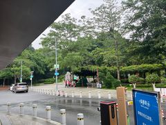 -天鹿湖森林公园