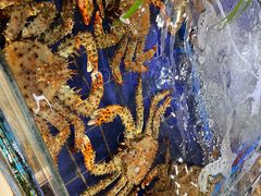 -79号渔船海鲜饭店(华强北店)