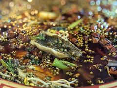 -烧哥美蛙肥肠鱼火锅·十五年社区店