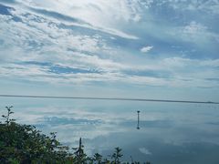 -贡湖湾湿地公园