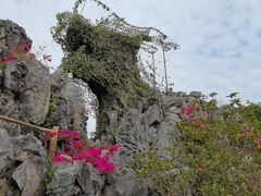 -惠州西湖风景名胜区-丰渚园