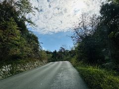 -普洱太阳河森林公园
