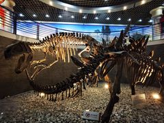 -国家自然博物馆