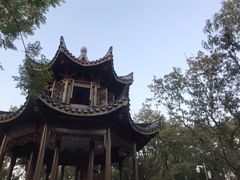 -上海市保健医疗中心