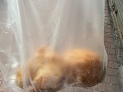 -占西饼店