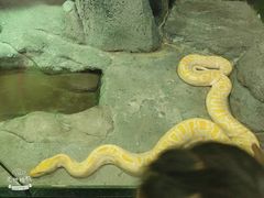 -福州罗源湾海洋世界旅游区