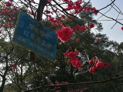 -南山植物园