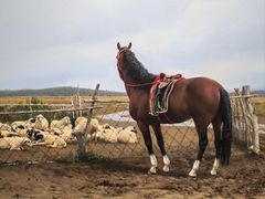 -日照市博物馆