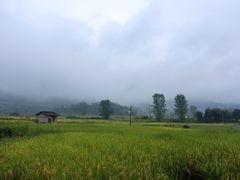 -黟县屏山村