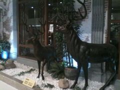 android_upload_pic-57度湘