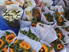 循礼门花市.cw-循礼门鲜花花市(武汉循礼门店)