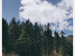 -硗碛藏寨·神木垒景区