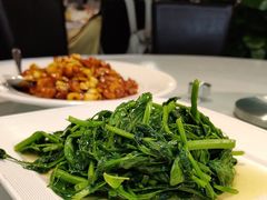-正兴蜀园(科技园区店)