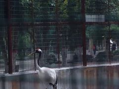 -保定市动物园