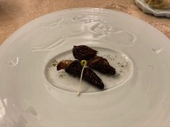 -玉芝兰(长发街店)