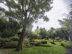 -望江楼公园