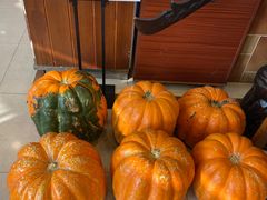 -良友·海鲜青岛菜(五四广场店)