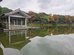 -太子山公园(园东路)