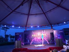 -巨鹏飞梦幻海岸