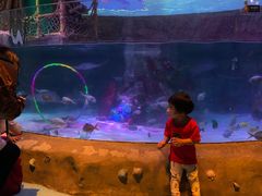 -沈阳海洋探索中心