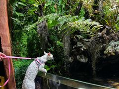 -太平洋海底世界