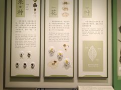 -中国茶叶博物馆(双峰馆区)