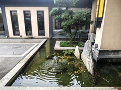 -谢氏老金口(江夏武昌大道店)