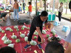 -前小桔亲子创意农场·草莓采摘·露营烧烤