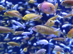 -成都浩海立方海洋公园