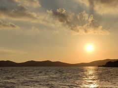 -上海市保健医疗中心