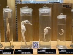 -青岛海底世界-水族馆