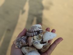-三娘湾旅游风景区
