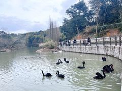 -宁波野生动物园