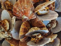 -宾朋美食海鲜餐厅·特色美食专访(兴海路店)